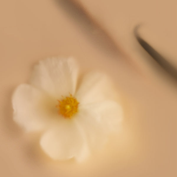 Chai Fleur