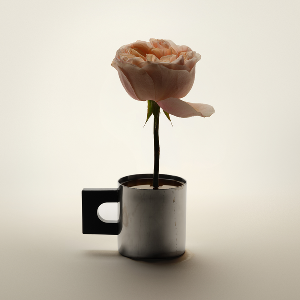 Still Bloom