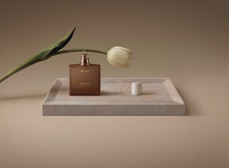 Video fallback image