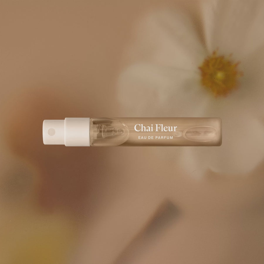 Video fallback image