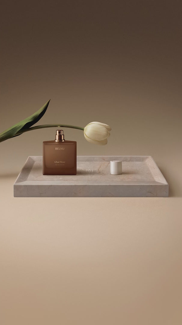 Video fallback image